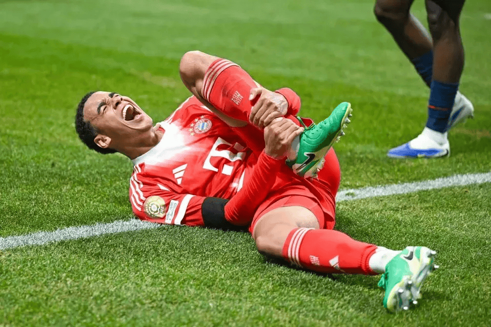 九游体育-包含多伦多猛龙迎欧冠关键赛，赛前复出首秀，信心回归，临场指挥获称赞的词条